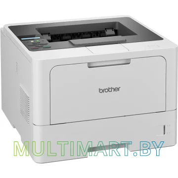 Принтер Brother HL-L5210DN (HLL5210DNRE1) картинка 2